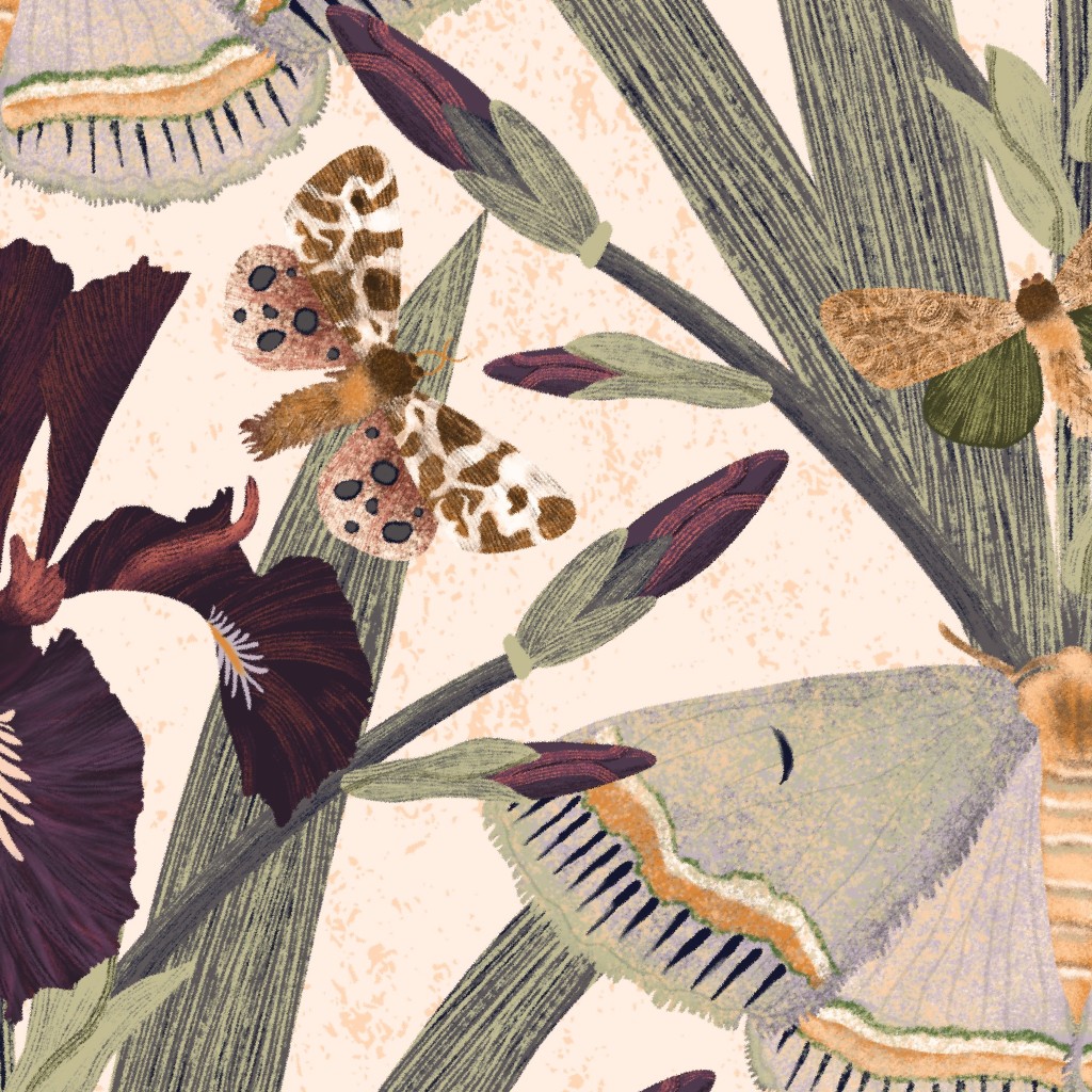 Design image for design ID 14975027