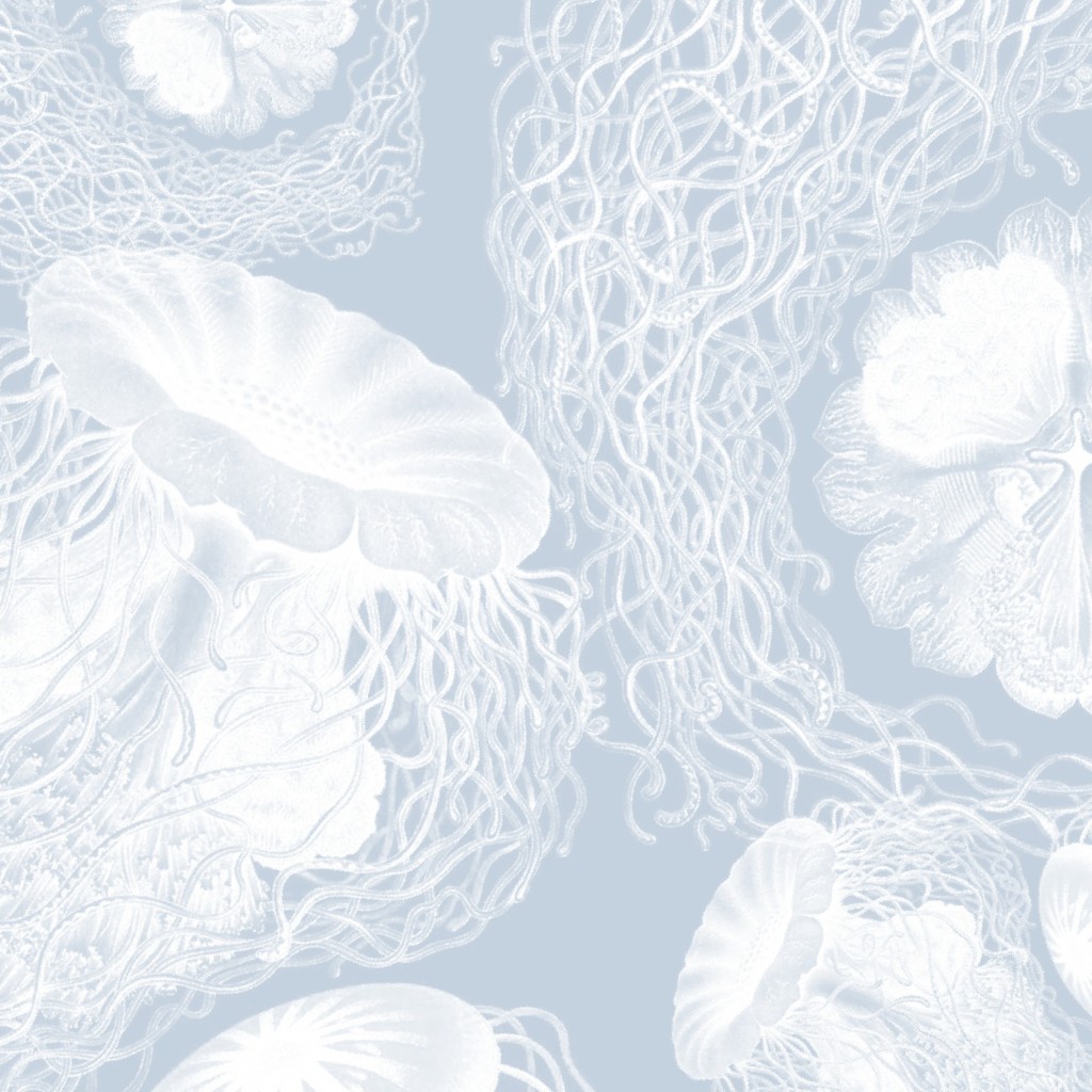 Design image for design ID 2555774