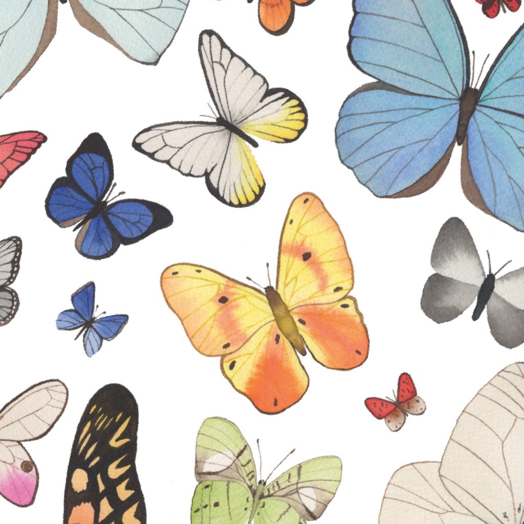 Design image for design ID 5242734